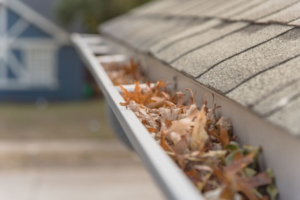 Leaf Barrier Installation in Sunbury
