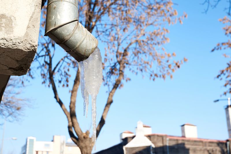 Winter Gutter Inspection