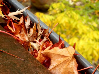 Fall Gutter Preparation